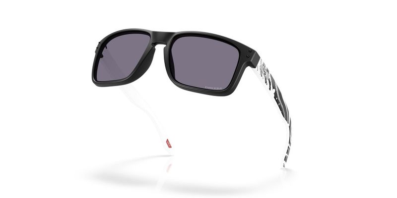 Oakley Holbrook™ Duality Collection